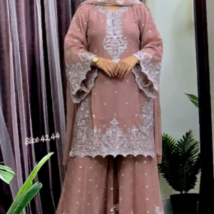 Eid Special Party Wear dress