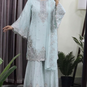 Eid Special Party Wear dress
